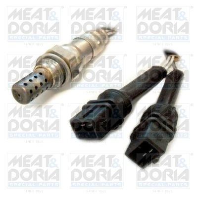 Oxygen Sensor